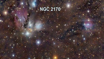 NGC2170-950.jpg