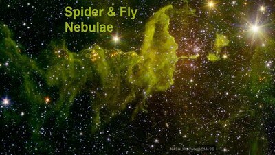 SpiderFly_Spitzer2Mass_960.jpg