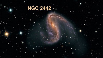 NGC2442pugh_c800.jpg