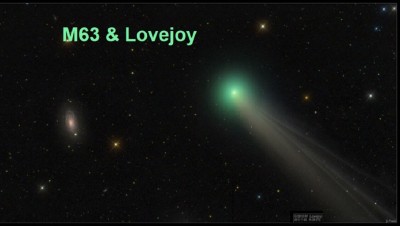 lovejoy1_peach_960.jpg