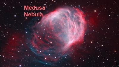 MedusaCrawford_NC900.jpg