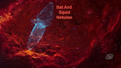 SquidBat_Akar_960.jpg