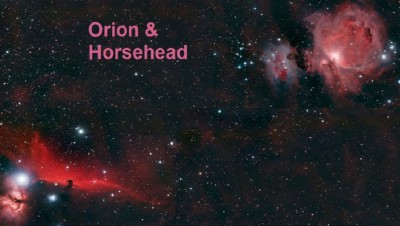 horseheadorion_martin.jpg