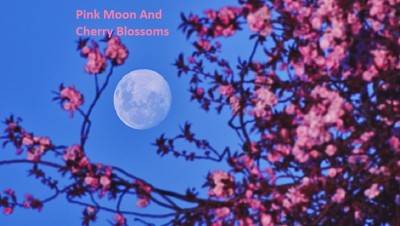 pink_moon1024.jpg