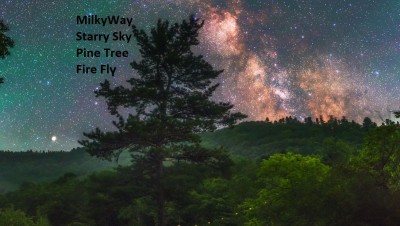 FireFlyMilkyWay_Komlev_1446.jpg