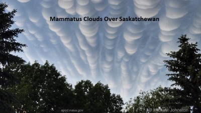 Mammatus_Johnston_960.jpg