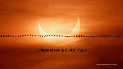 2021-06-10EclipseFlybywm.jpg