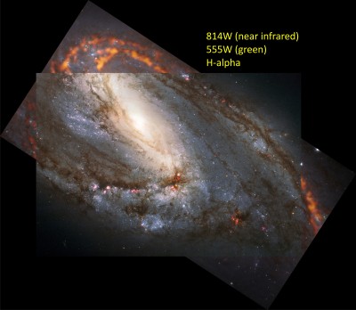 Messier 66 Close Up APOD.jpg