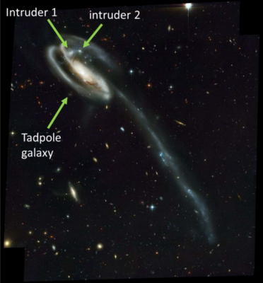 The image of the Tadpole galaxy UGC 10214 with labeled 3 galaxies.png