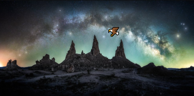 Bird over Milky Way.png