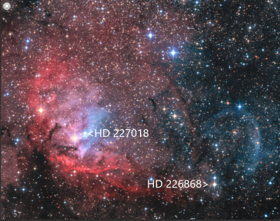 HD 226868 and Tulip Nebula Peter Kohlmann.png