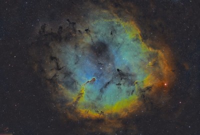 The Elephant's Trunk Nebula