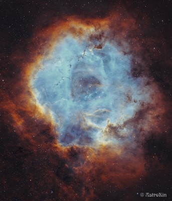 Rosette Nebula Crop Sign (1800 x 2100).jpg