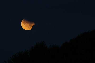 Clouds start to cover as the eclipse progresses to the trees below