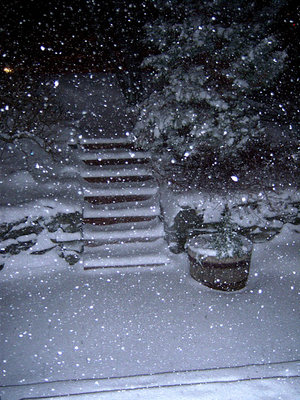 Dartmouth, NS - blizzard, Jan 12, 2012