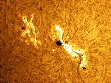Sunspot group 1429 showing a flare in process!