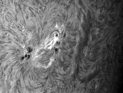 Sun spot group 1459 imaged with a Lunt 152 and Flea3 ccd video camera.