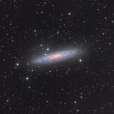 147110279.9wRwbpAu.NGC253LRHa_crop60.jpg