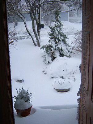 blizzard-2008.jpg