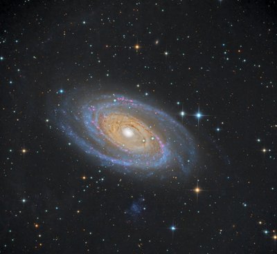 M81.jpg