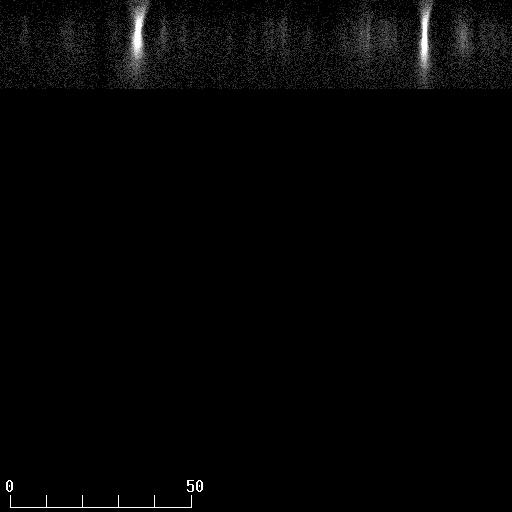 Single psf, side view (one sees the ZY plane) reconstructed from a confocal microscopy stack,