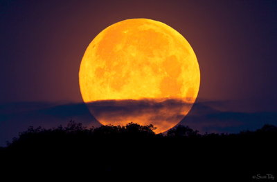 With a slight haze in the atmosphere the light and color on this one was beautiful and very fitting as the full Moon of June is also known as the strawberry Moon!